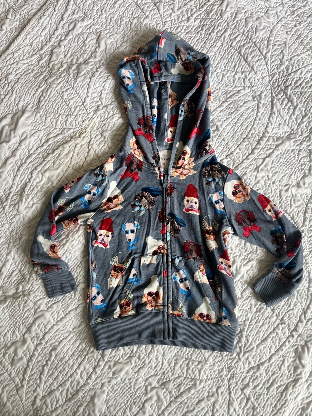 Posh Peanut Gray Hooded Zip-Up with Colorful Dog Print Quinlyn Collection